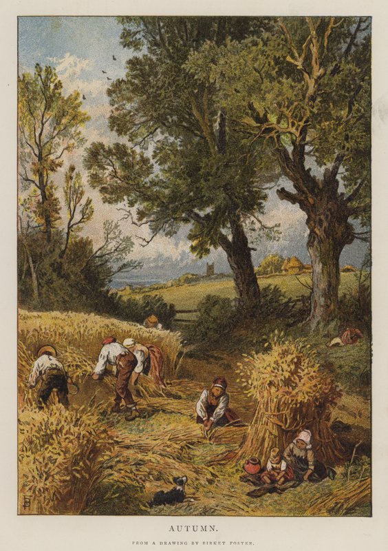 Ősz (színes litó) alkotó: Myles Birket (after) Foster