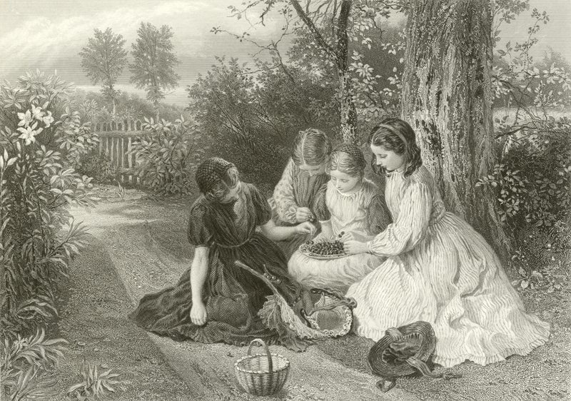 A cseresznye ünnepe alkotó: Myles Birket Foster