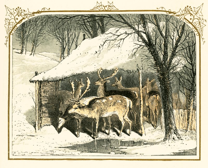 Szarvas a hóban alkotó: Myles Birket Foster