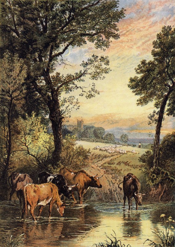 Nyári Este alkotó: Myles Birket Foster