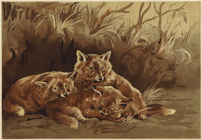 A rablók barlangja (litho) alkotó: N. Parker