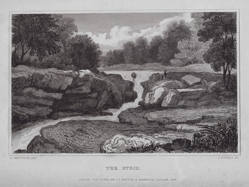 The Strid (metszet) alkotó: Nathaniel (after) Whittock