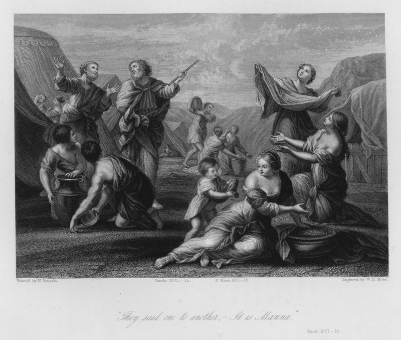 A Manna összegyűjtése, Exodus XVI alkotó: Nicolas (after) Poussin