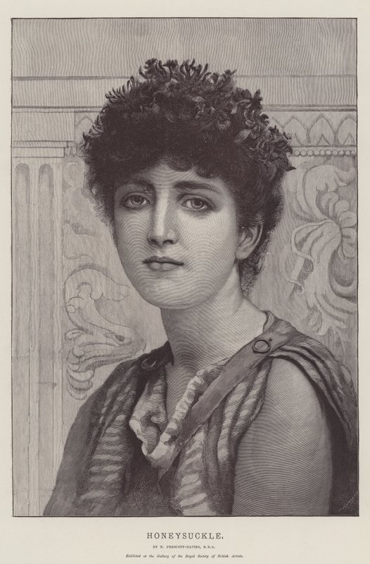 Loncs alkotó: Norman Prescott Davies