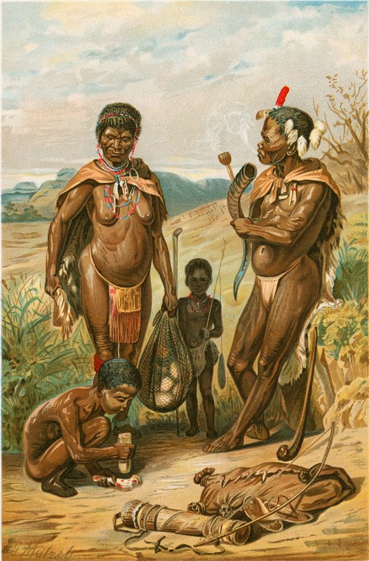 Bushman család alkotó: North American