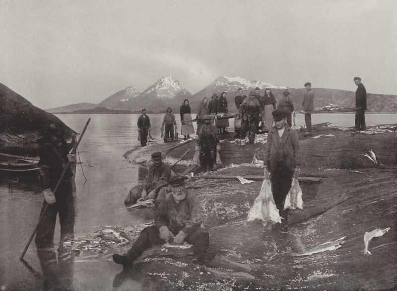 Klip-hal mosása alkotó: Norwegian Photographer
