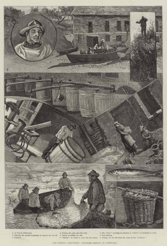 Halászati iparágaink, Pilchard Seining Cornwallban alkotó: Percy Robert Craft
