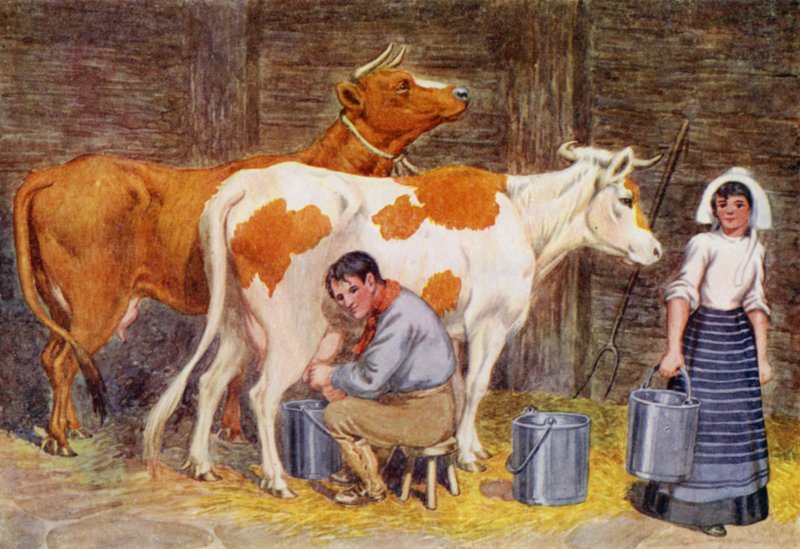 Fejési idő (színes litho) alkotó: Percy James Billinghurst