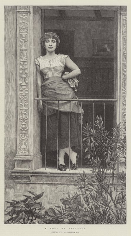 Provence rózsa alkotó: Philip Hermogenes Calderon