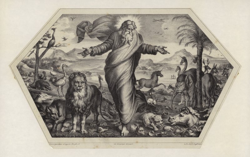 Az állatok teremtése alkotó: Raffaello Sanzio Raphael