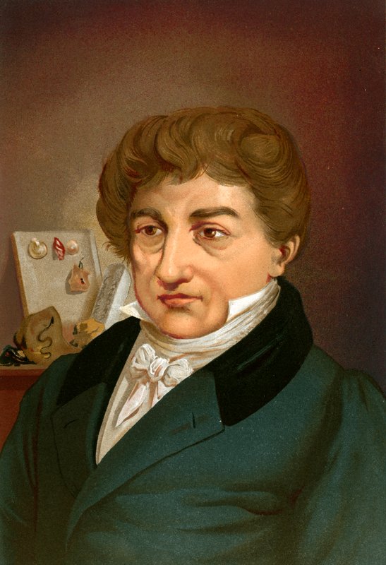Georges cuvier alkotó: Ricardo Marti