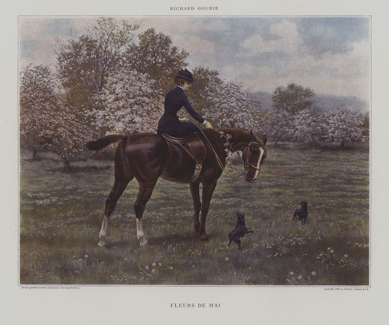 májusi virágok alkotó: Richard Doyle