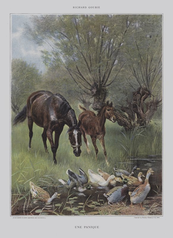 Pánik (Pánik) alkotó: Richard Doyle