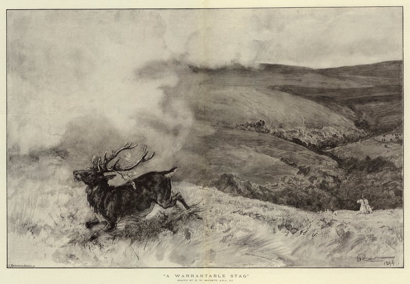 Garanciális szarvasbika alkotó: Robert Walker Macbeth