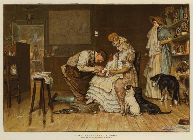 Állatorvosi bolt (chromolitho) alkotó: Robert Walker Macbeth
