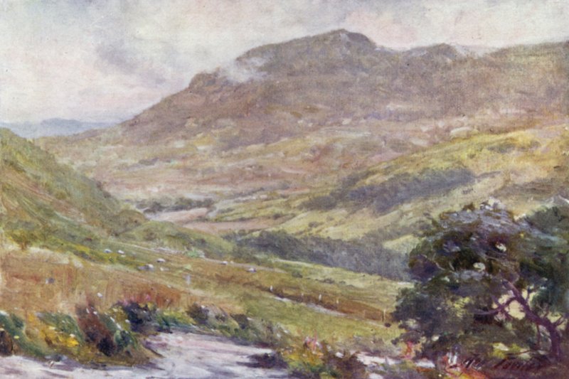 Hegyi hágó, dél (színes litó) alkotó: Robert (after) Fowler