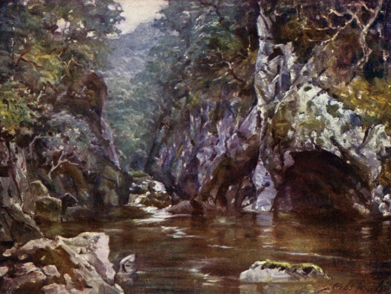 Fairy Glen, Bettws-y-Coed (színes litho) alkotó: Robert (after) Fowler