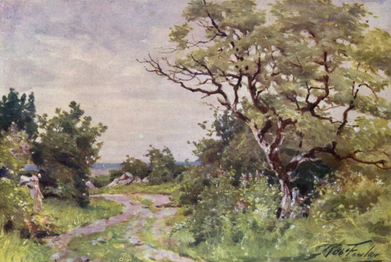Field Path, Llanrug közelében (színes litho) alkotó: Robert (after) Fowler