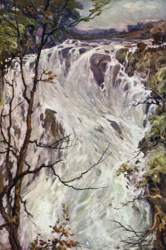Swallow Falls, Bettws-y-Coed (színes litho) alkotó: Robert (after) Fowler