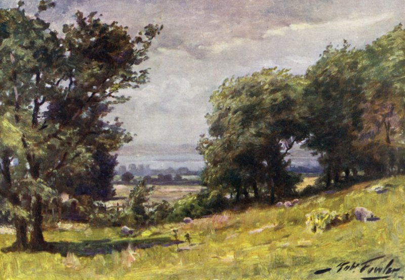Szeles nap, Llanrug közelében (színes litográfia) alkotó: Robert (after) Fowler