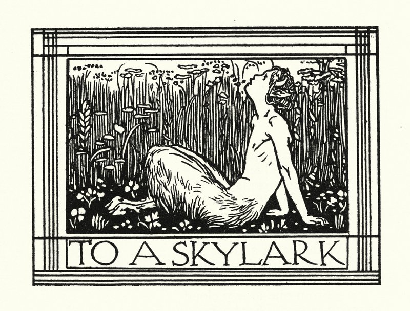 Shelley: To A Skylark (litho) alkotó: Robert Anning Bell