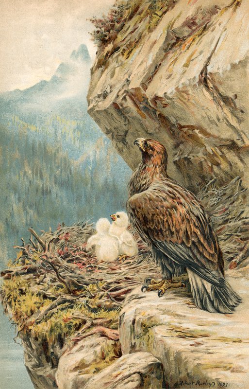 A hegy gyermekei alkotó: Robert Morley