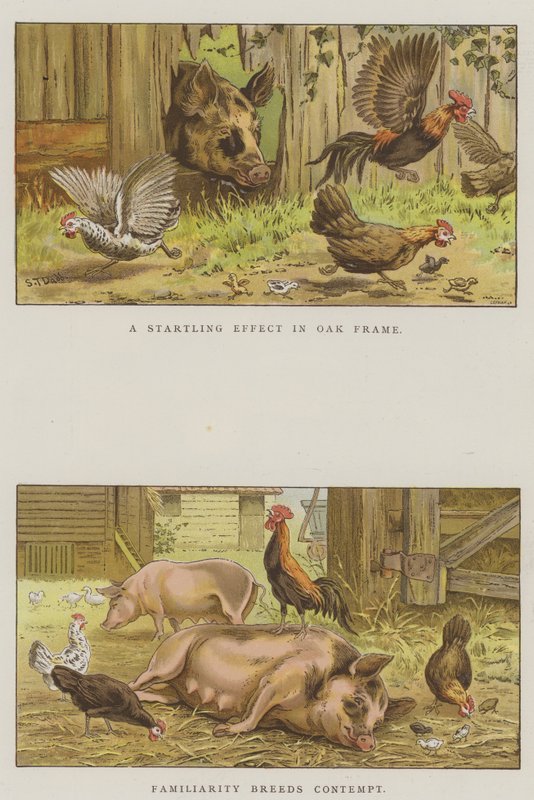 Mezőgazdasági jelenetek (chromolitho) alkotó: S.T. Dadd