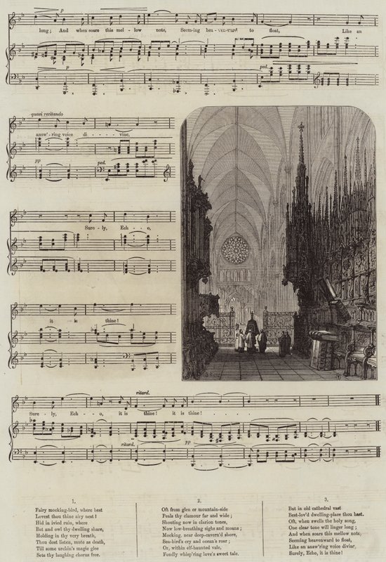 Visszhang alkotó: Samuel Read