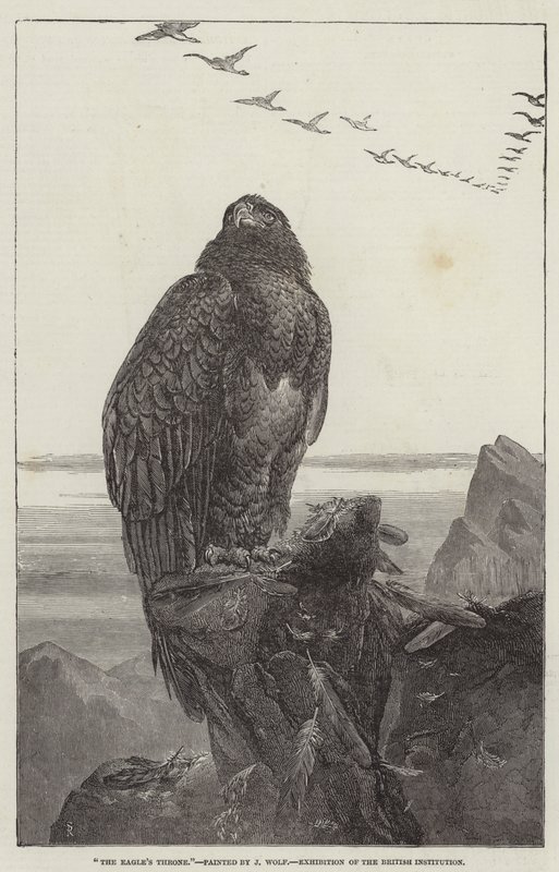 The Eagle