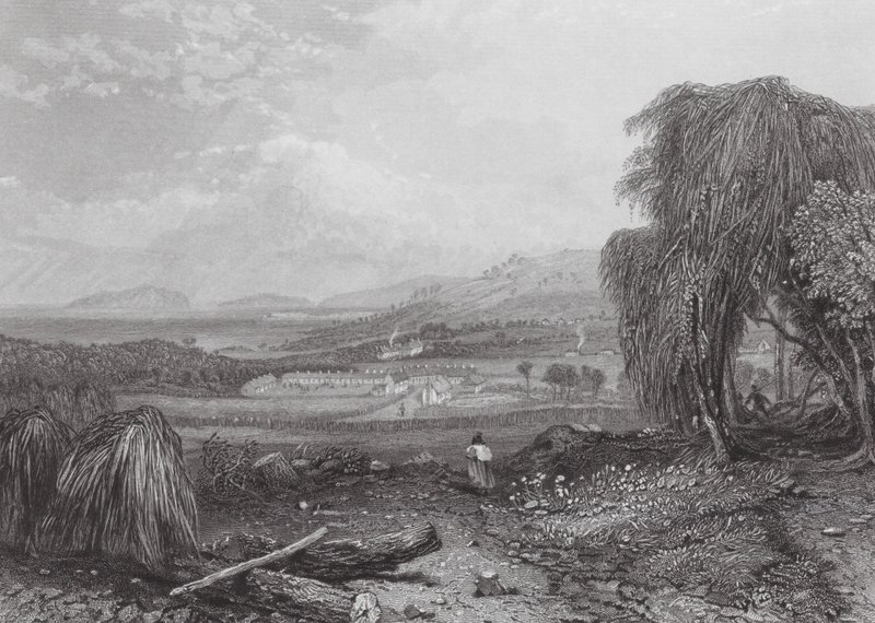 Ausztrália: Cove, Tasmania (metszet) alkotó: Samuel (after) Prout