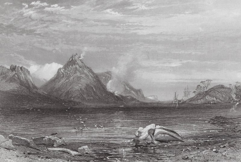 Ausztrália: Whaling Station (metszet) alkotó: Samuel (after) Prout