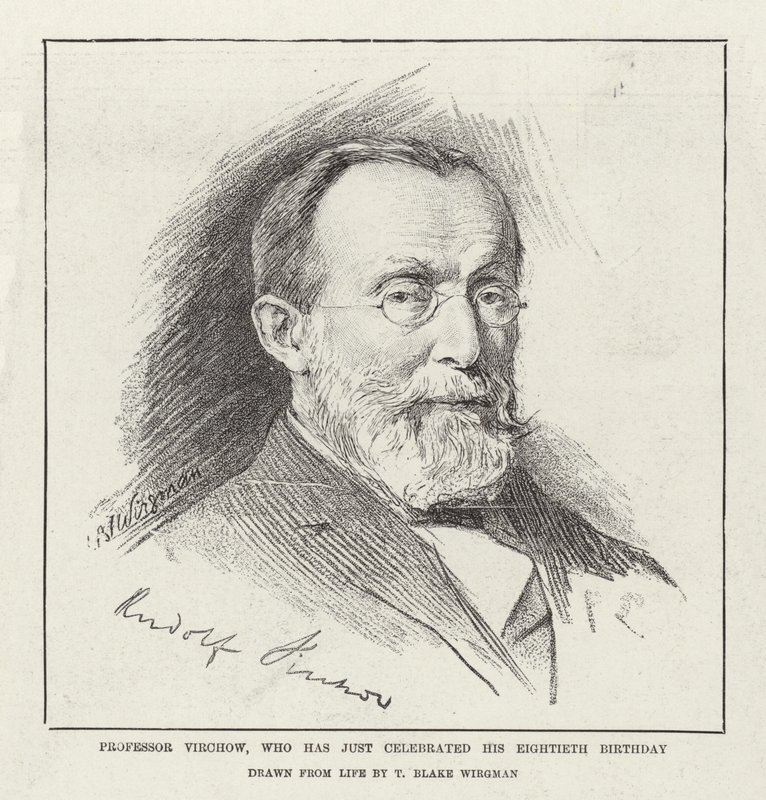 Virchow professzor, aki most ünnepelte nyolcvanadik születésnapját alkotó: Theodore Blake Wirgman