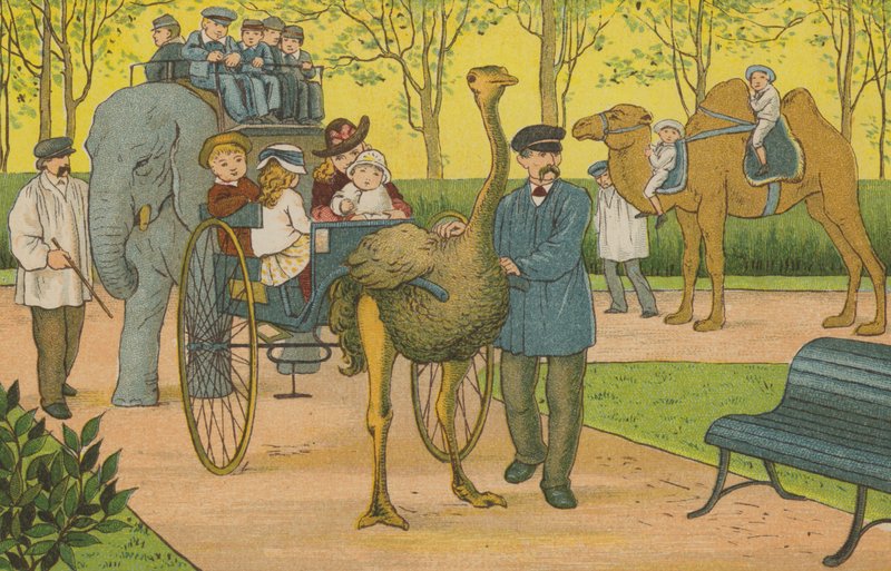 Párizs: állatkert (színes litho) alkotó: Thomas Crane