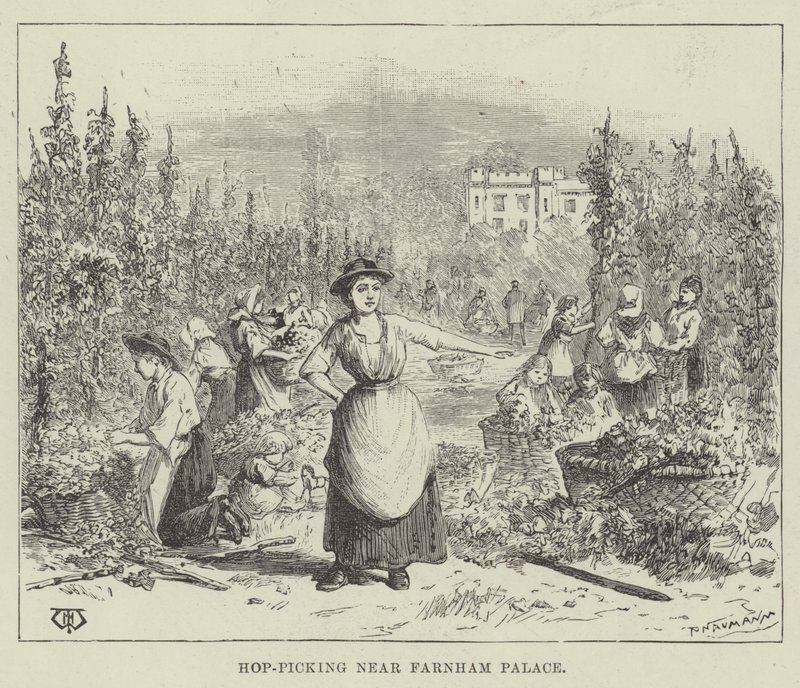 Komlószedés a Farnham Palace közelében alkotó: Thomas Harrington Wilson