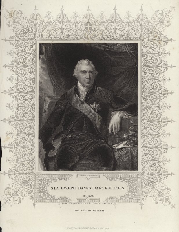 Sir Joseph Banks alkotó: Thomas Lawrence