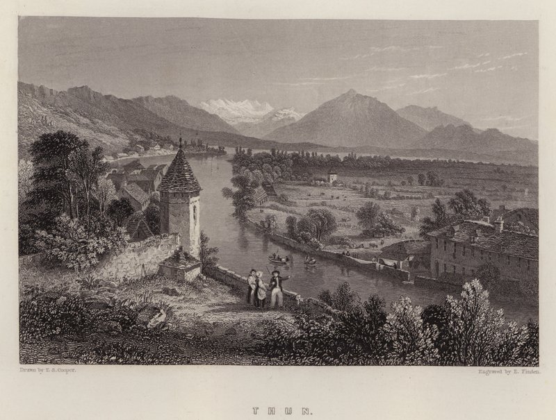 Thun (színes litó) alkotó: Thomas Sidney (after) Cooper