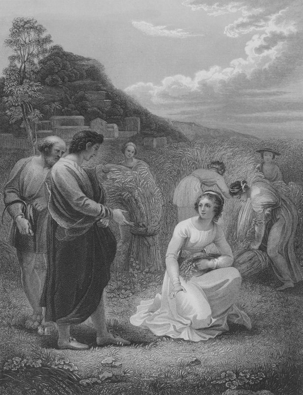 Ruth Gleaning, Ruth 2, 1-15 alkotó: Thomas Stothard