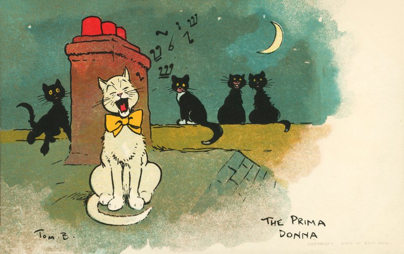 Prima donna (színes litográfia) alkotó: Tom Browne