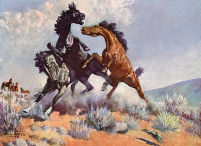 Smoky The Cow Horse alkotó: Unbekannt Unbekannt