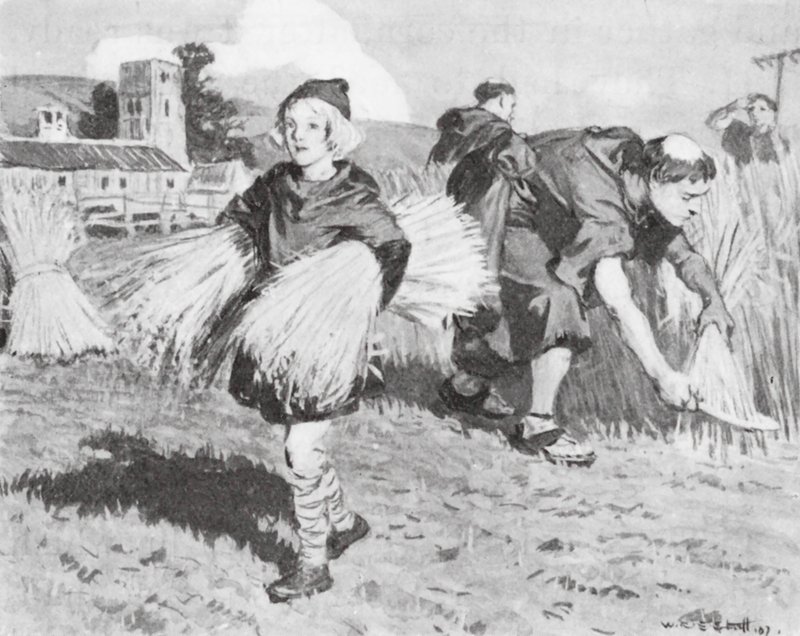 Bede az aratómezőn (litográfia) alkotó: W.R.S. (after) Stott