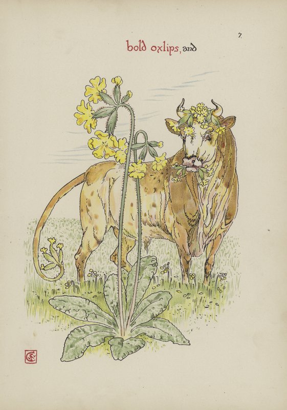 Virágok Shakespeare kertjéből alkotó: Walter Crane