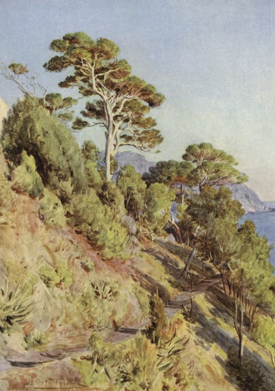 Villa Puma, Sestri Levante alkotó: Walter Frederick Roofe Tyndale