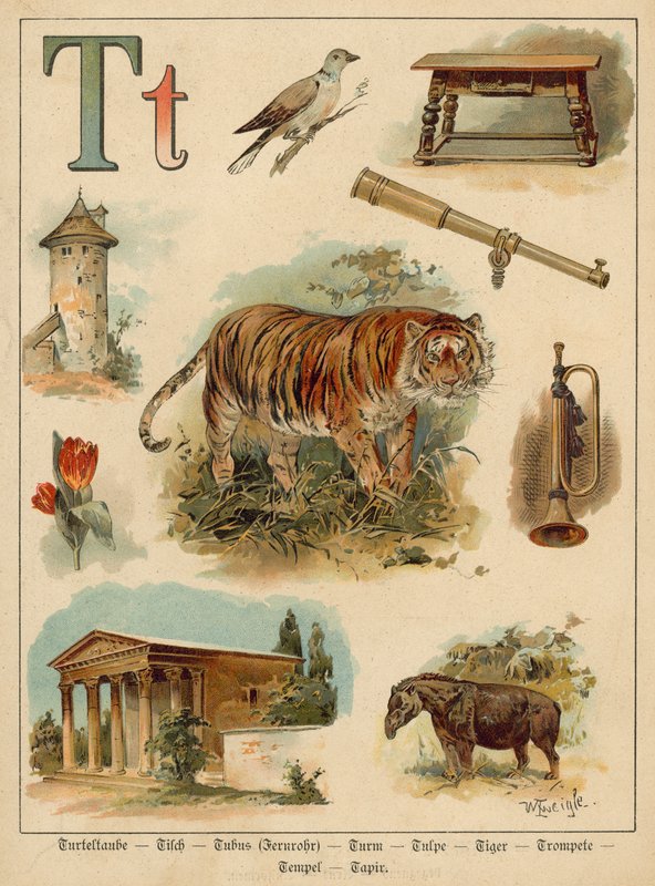 T betű (chromolitho) alkotó: Walter Zweigle