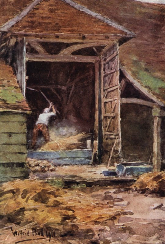 Old Abe, Flailing (színes litográfia) alkotó: Wilfrid Williams Ball
