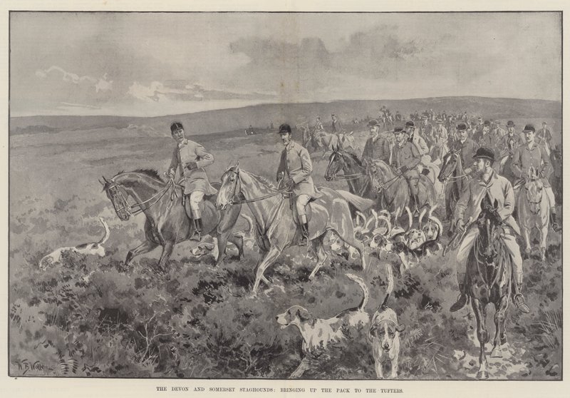 A Devon és Somerset Staghoundok, akik felhozzák a falkát a Tufters-hez. alkotó: William Barnes Wollen