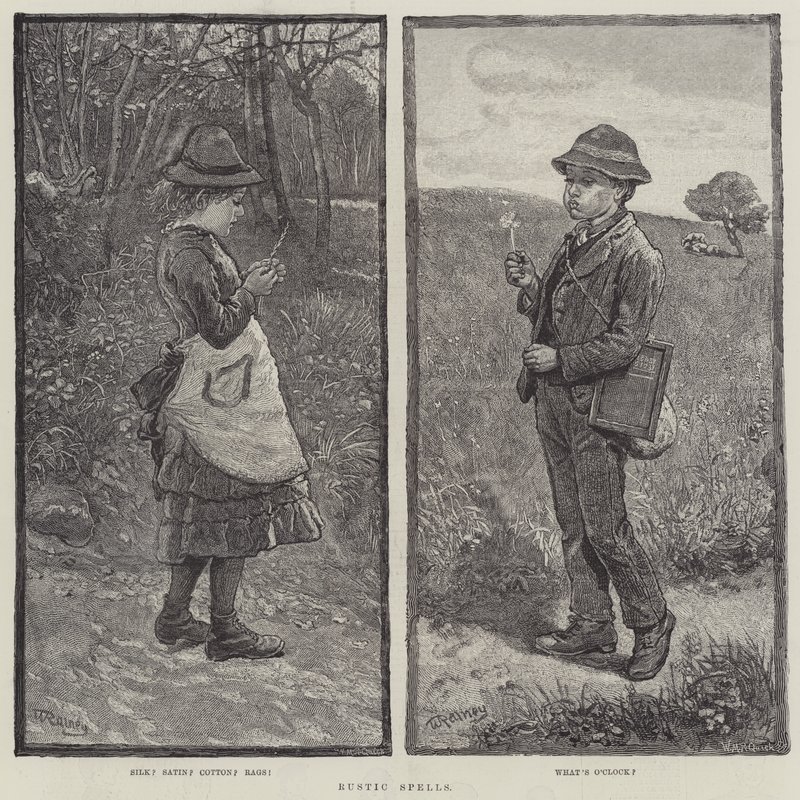 Rusztikus varázslatok alkotó: William Rainey
