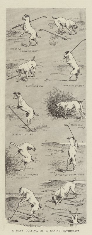 Egy nap golfozás, egy kutyás rajongótól alkotó: William Ralston