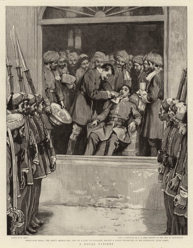 Egy királyi beteg alkotó: William Small