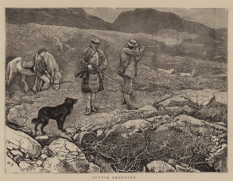 Grouse Shooting alkotó: William Small