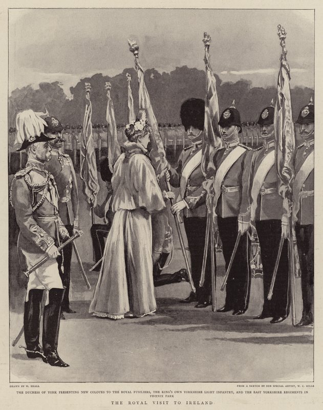 Királyi látogatás Írországban alkotó: William Small